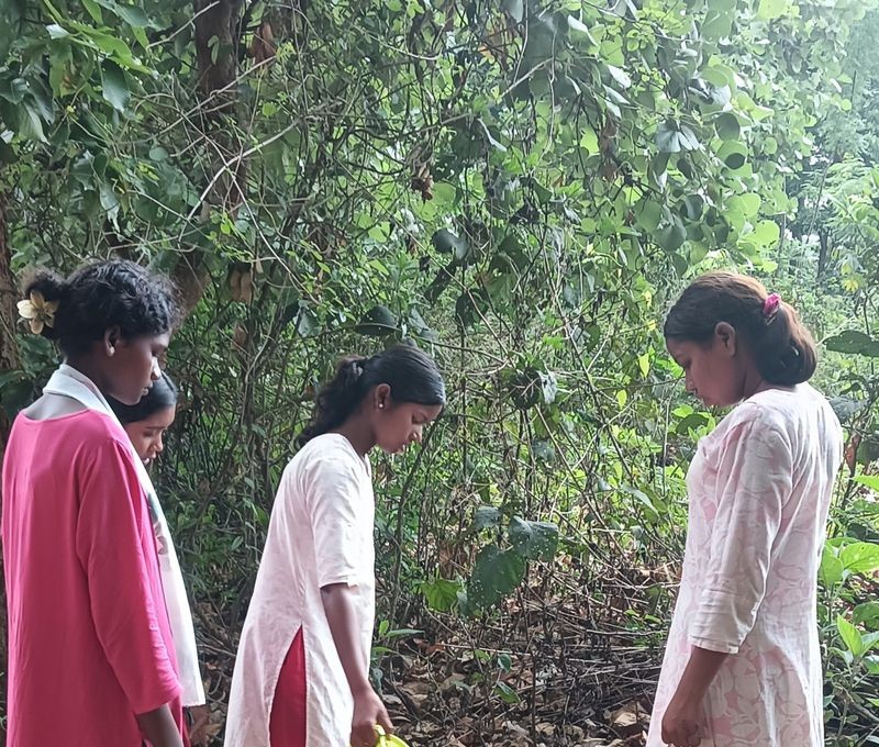Young women tending saplings in a community forest grove