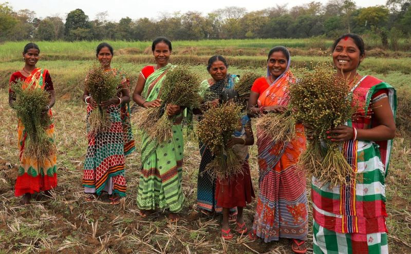 Women from a village collective holding harvested forest produce